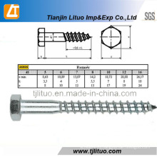 Хорошее qualtiy DIN571 шурупы/шурупы